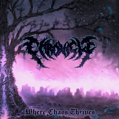 Chronicle : Where Chaos Thrives (Single)